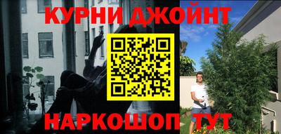 Альфа ПВП Краснознаменск