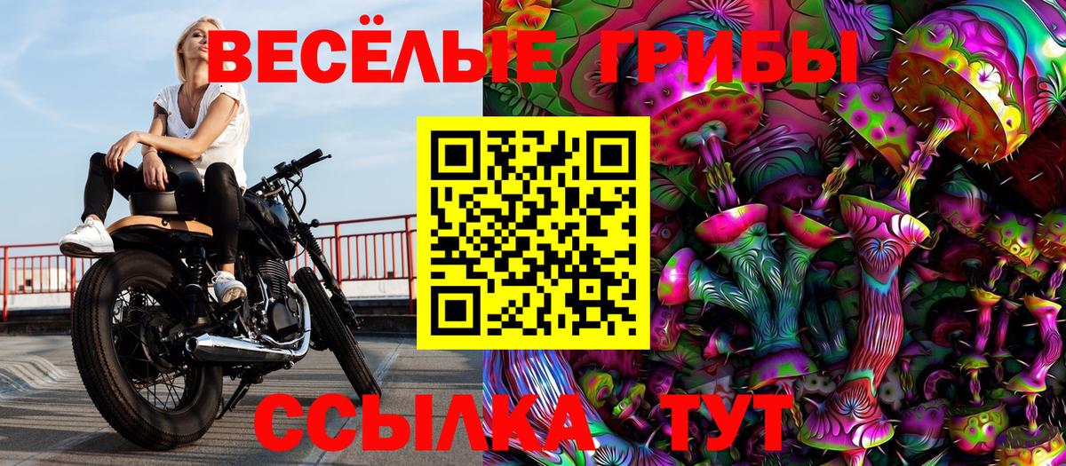 Галлюциногенные грибы Psilocybe  Вход с VPN  Кандалакша 
